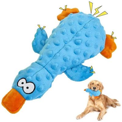 winwin Training Interactive Duck Shaped Dog Toy - Durable 2-Layer Mesh Chew with Squeak winwin Training Interactive Duck Shaped Dog Toy - Durable 2-Layer Mesh Chew with Squeak
