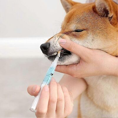 Unbranded (As show, One size) Pet Teeth Cleaning Kit,dog Cat Tooth Scaler,pet Dog/cat Beau Unbranded (As show, One size) Pet Teeth Cleaning Kit,dog Cat Tooth Scaler,pet Dog/cat Beau