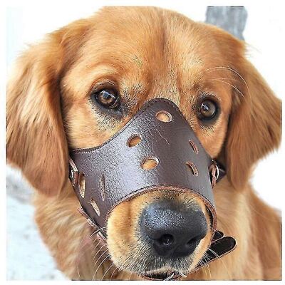 Kikidex (As show, One size) Anti Bark Muzzle for Large Medium Small Dogs M Kikidex (As show, One size) Anti Bark Muzzle for Large Medium Small Dogs M