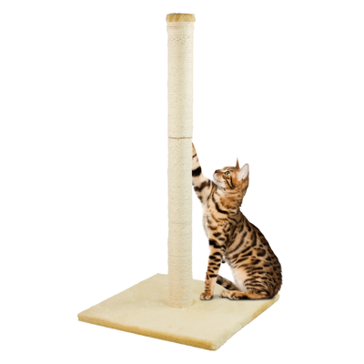 (Large, Beige) KCT Cat Scratching Post for Indoor Kitten 40/78cm Scratcher Pole (Large, Beige) KCT Cat Scratching Post for Indoor Kitten 40/78cm Scratcher Pole