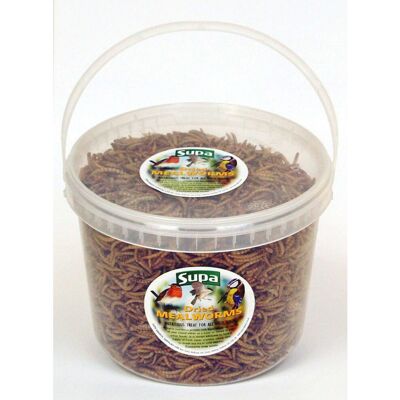 Supa Bucket Of Freeze Dried Mealworms For Birds Supa Bucket Of Freeze Dried Mealworms For Birds