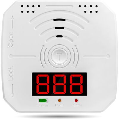 Unbranded Carbon Monoxide Detector with Electrochemical Sensor, Digital Display, Alarm, AB Unbranded Carbon Monoxide Detector with Electrochemical Sensor, Digital Display, Alarm, AB