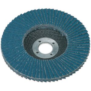 Sealey FD10060 Flap Disc Zirconium Ø100mm 16mm Bore 60grit Sealey FD10060 Flap Disc Zirconium Ø100mm 16mm Bore 60grit