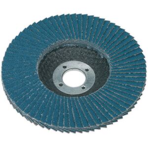 Sealey FD10040 Flap Disc Zirconium Ø100mm 16mm Bore 40grit Sealey FD10040 Flap Disc Zirconium Ø100mm 16mm Bore 40grit