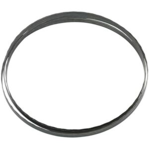 Loops 1712 x 10 x 0.35mm Bandsaw Blade Hardened Steel Teeth 24 TPI Wood Plastic Metal Loops 1712 x 10 x 0.35mm Bandsaw Blade Hardened Steel Teeth 24 TPI Wood Plastic Metal