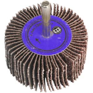 Loops 50 x 25mm Aluminium Oxide Flap Wheel - 6mm Shaft - 40 Grit - Abrasive Sanding Loops 50 x 25mm Aluminium Oxide Flap Wheel - 6mm Shaft - 40 Grit - Abrasive Sanding