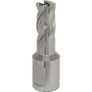 Loops 16mm x 25mm Depth Rotabor Cutter - M2 Steel Annular Metal Core Drill 19mm Shank Loops 16mm x 25mm Depth Rotabor Cutter - M2 Steel Annular Metal Core Drill 19mm Shank
