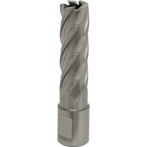 Loops 17mm x 50mm Depth Rotabor Cutter - M2 Steel Annular Metal Core Drill 19mm Shank Loops 17mm x 50mm Depth Rotabor Cutter - M2 Steel Annular Metal Core Drill 19mm Shank