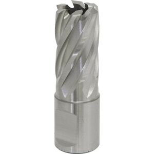 Loops 17mm x 25mm Depth Rotabor Cutter - M2 Steel Annular Metal Core Drill 19mm Shank Loops 17mm x 25mm Depth Rotabor Cutter - M2 Steel Annular Metal Core Drill 19mm Shank