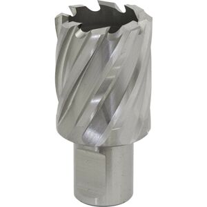 Loops 30mm x 25mm Depth Rotabor Cutter - M2 Steel Annular Metal Core Drill 19mm Shank Loops 30mm x 25mm Depth Rotabor Cutter - M2 Steel Annular Metal Core Drill 19mm Shank