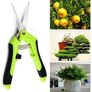 Unbranded Trimming Leaf Snips Garden Scissors with Straight Blade Pruning Shears for Fruit Unbranded Trimming Leaf Snips Garden Scissors with Straight Blade Pruning Shears for Fruit