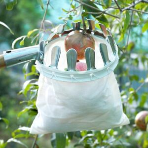 Unbranded Metal Fruit Picker Orchard Gardening Apple Peach High Tree Picking Tools Fruit C Unbranded Metal Fruit Picker Orchard Gardening Apple Peach High Tree Picking Tools Fruit C