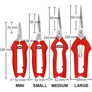 nobrand (M) Garden Pruning Shears Potted Branches Scissors Fruit Picking Small Scissors nobrand (M) Garden Pruning Shears Potted Branches Scissors Fruit Picking Small Scissors