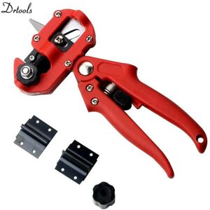 nobrand (Red Tool, 15cm-19.9cm) Gardening Tools Fruit Tree Pruning Branch Scissors Seedl nobrand (Red Tool, 15cm-19.9cm) Gardening Tools Fruit Tree Pruning Branch Scissors Seedl