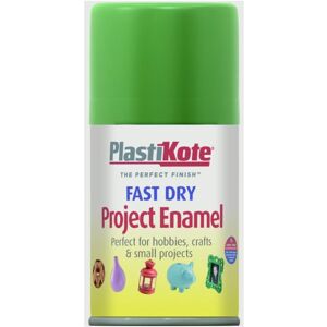 PlastiKote - Fast Dry Enamel Aerosol Paint - Garden Green - 100ml PlastiKote - Fast Dry Enamel Aerosol Paint - Garden Green - 100ml
