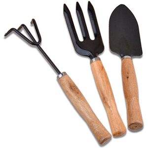 GreenZech 3Pcs Garden Hand Tools Set Iron Gardening Shovel Spade Rake Trowel Wood Handle GreenZech 3Pcs Garden Hand Tools Set Iron Gardening Shovel Spade Rake Trowel Wood Handle