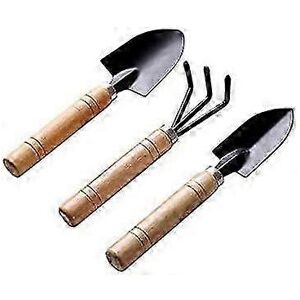 Unbranded Set of 3 black gardening tools: shovel, rake, spade, succulent plant in a flower Unbranded Set of 3 black gardening tools: shovel, rake, spade, succulent plant in a flower