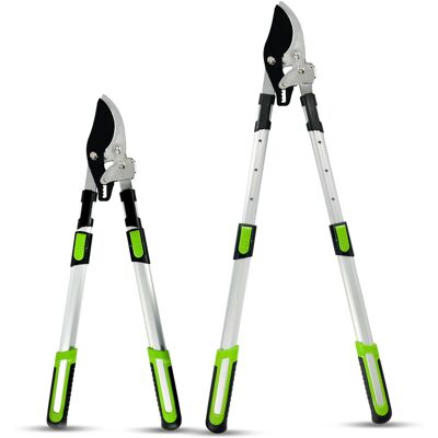 DENNY INT LTD (Telescopic Bypass Lopper) Telescopic Ratchet Anvil Bypass Loppers Tree Branch C DENNY INT LTD (Telescopic Bypass Lopper) Telescopic Ratchet Anvil Bypass Loppers Tree Branch C