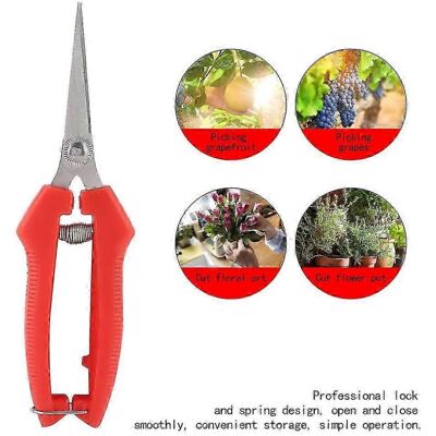 Unbranded Fruit picking scissors, garden shears, flower shears, hand pruners, 7" equipment Unbranded Fruit picking scissors, garden shears, flower shears, hand pruners, 7" equipment