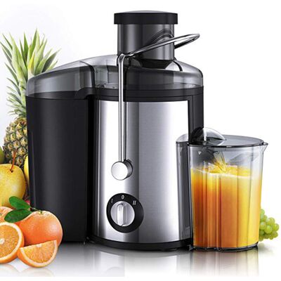 Wejoy 450ML Electric Stainless Steel Juicer - Dual-Speed 400W Slow Juicer for Whole Fr Wejoy 450ML Electric Stainless Steel Juicer - Dual-Speed 400W Slow Juicer for Whole Fr