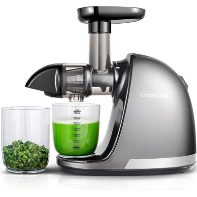 AMZCHEF Juicer - Silver - Masticating Juicer AMZCHEF Juicer - Silver - Masticating Juicer