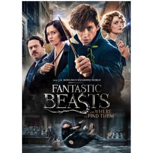 Warner Bros Fantastic Beasts and Where To Find Them (DVD) Warner Bros Fantastic Beasts and Where To Find Them (DVD)