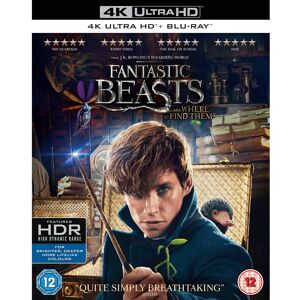 Warner Bros Fantastic Beasts and Where To Find Them (4K Ultra HD) Warner Bros Fantastic Beasts and Where To Find Them (4K Ultra HD)
