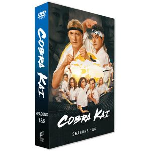 Unbranded Cobra Kai seasons 1-6 Movie Collection (English)DVD Box Set- 14 Discs Unbranded Cobra Kai seasons 1-6 Movie Collection (English)DVD Box Set- 14 Discs