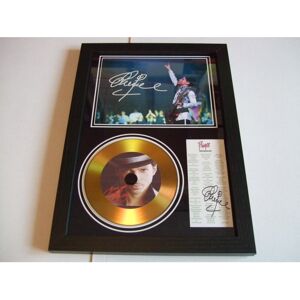 gold disc man prince signed disc display gold disc man prince signed disc display