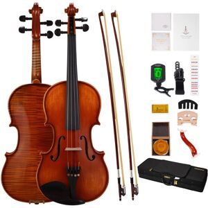 Phoenix Violin 4/4 Full Size Set Fiddle Solid Wood for professional Beginners A Phoenix Violin 4/4 Full Size Set Fiddle Solid Wood for professional Beginners A