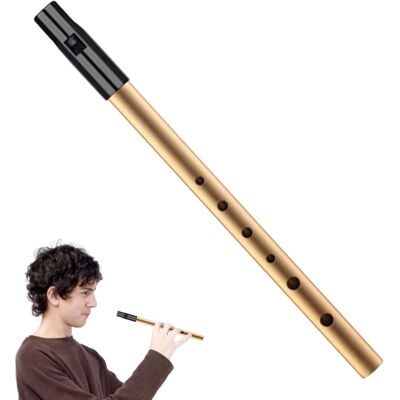 YiJianLiangBai Tin Whistle D,Professional Six-Hole Penny Whistle Gold,Premium Irish W YiJianLiangBai Tin Whistle D,Professional Six-Hole Penny Whistle Gold,Premium Irish W