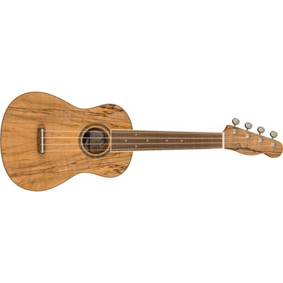 Fender Zuma Exotic Concert Ukulele, Walnut Fingerboard in Spalted Maple Fender Zuma Exotic Concert Ukulele, Walnut Fingerboard in Spalted Maple