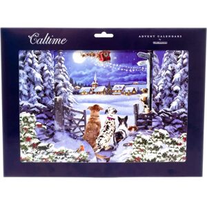 Carousel 3D Christmas Advent Calendar Waiting for Santa Fold Out Advent Calendar Tradit Carousel 3D Christmas Advent Calendar Waiting for Santa Fold Out Advent Calendar Tradit