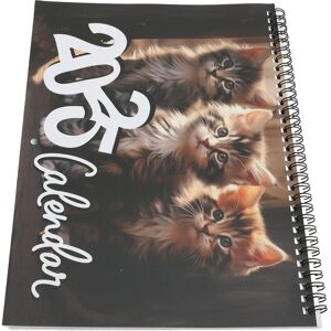 Unbranded 2025 Wall Cat Calendar 12 Month Thick Paper Double Sided Binding Julian Calendar Unbranded 2025 Wall Cat Calendar 12 Month Thick Paper Double Sided Binding Julian Calendar