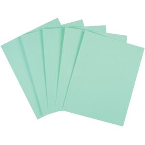 Staples 490886 Cover Stock Paper 67 lbs 8.5-Inch x 11-Inch Green 250/Pack (82995 Staples 490886 Cover Stock Paper 67 lbs 8.5-Inch x 11-Inch Green 250/Pack (82995