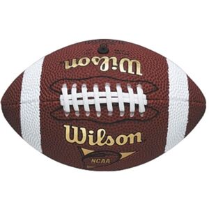Wilson NFL Micro Size American Football Outdoor Play Training Practice Ball (202 Wilson NFL Micro Size American Football Outdoor Play Training Practice Ball (202