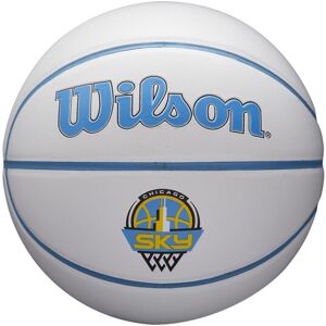 Wilson WNBA Mini Autograph Basketball - Chicago Sky Size 3-22"""" Wilson WNBA Mini Autograph Basketball - Chicago Sky Size 3-22""""