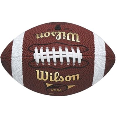 Wilson NFL Micro Size American Football Outdoor Play Training Practice Ball (202 Wilson NFL Micro Size American Football Outdoor Play Training Practice Ball (202