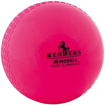 Readers Childrens/Kids Windball Training Cricket Ball Readers Childrens/Kids Windball Training Cricket Ball