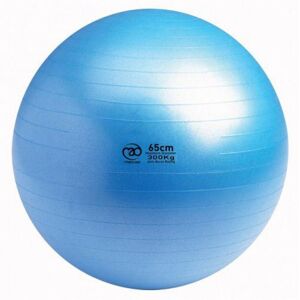 (65cm) Fitness Mad 300kg Swiss Ball Ideal For Yoga Pilates Physiotherapy Trainin (65cm) Fitness Mad 300kg Swiss Ball Ideal For Yoga Pilates Physiotherapy Trainin