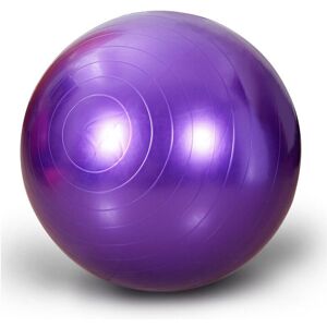 Unbranded (Purple, 75cm/29.52in) Anti Burst Exercise Workout Yoga Ball Fitness Pilates Scu Unbranded (Purple, 75cm/29.52in) Anti Burst Exercise Workout Yoga Ball Fitness Pilates Scu