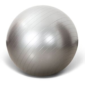 Unbranded (Silver, 95cm/37.40in) Anti Burst Exercise Workout Yoga Ball Fitness Pilates Scu Unbranded (Silver, 95cm/37.40in) Anti Burst Exercise Workout Yoga Ball Fitness Pilates Scu