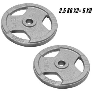 FK Sports (2.5Kg x 2 = 5Kg) Standard 1-Inch Cast Iron Plate Weight Plate FK Sports (2.5Kg x 2 = 5Kg) Standard 1-Inch Cast Iron Plate Weight Plate