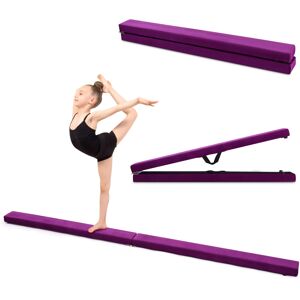 Unbranded 7FT 2.1M Folding Gymnastic Balance Beam Kids Training Beam Carrying Unbranded 7FT 2.1M Folding Gymnastic Balance Beam Kids Training Beam Carrying
