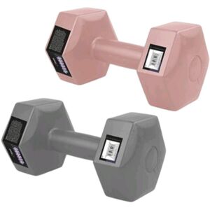 Unbranded (6 kg, Blush) 4/6 Kg Hexagon Dumbbells Set of 2 for Home Gym Fitness Unbranded (6 kg, Blush) 4/6 Kg Hexagon Dumbbells Set of 2 for Home Gym Fitness