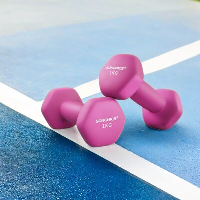 Songmics Set of 2 Neoprene Hex Dumbbells, 2 x 1 kg, with Dumbbells Bars, Home Training, P Songmics Set of 2 Neoprene Hex Dumbbells, 2 x 1 kg, with Dumbbells Bars, Home Training, P