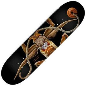 Powell Peralta Peralta LB Marion Flightless Moth #243 8.25inch Skateboard Deck Powell Peralta Peralta LB Marion Flightless Moth #243 8.25inch Skateboard Deck