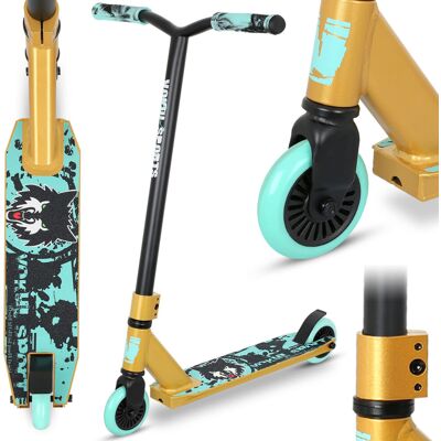 Joycruise Stunt Scooter Pro Trick Scooters for Kids & Teenagers Age 6+ Boys Girl Joycruise Stunt Scooter Pro Trick Scooters for Kids & Teenagers Age 6+ Boys Girl