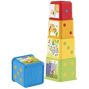 Fisher-Price Stack & Explore Blocks Set of 5 Fisher-Price Stack & Explore Blocks Set of 5