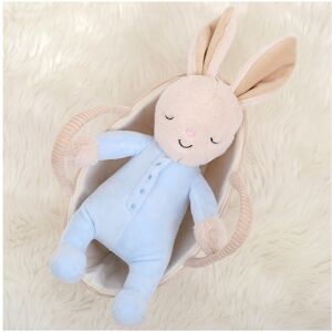 Unbranded (Blue) Sleeping Bunny Plush Portable Woven Basket Doll Rabbit Toy Stuffed Unbranded (Blue) Sleeping Bunny Plush Portable Woven Basket Doll Rabbit Toy Stuffed